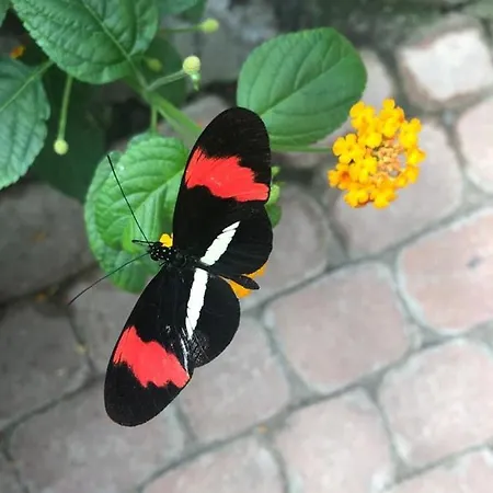 Сasa de vacaciones Sonnenlicht - Familien Und Kiter 