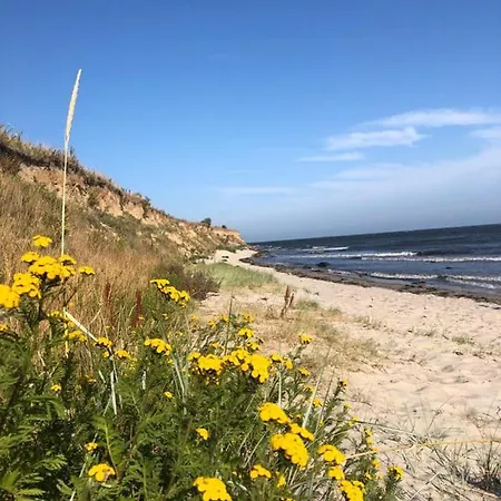 Sonnenlicht - Familien Und Kiter 
